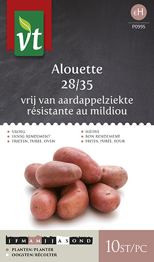 Catalogus Detail Plants Pomme De Terre Alouette