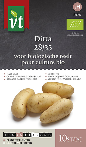 Catalogus Detail Plants Pomme De Terre Ditta