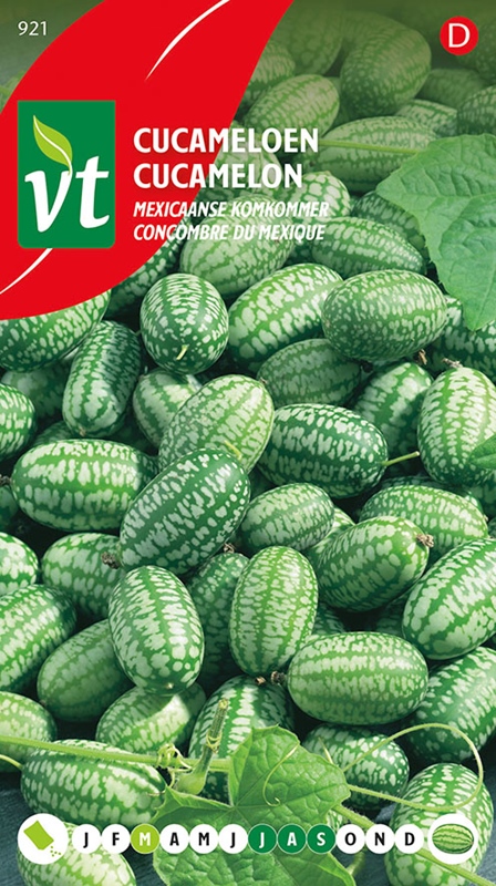 Graines de Cucamelon - Mini pastèque